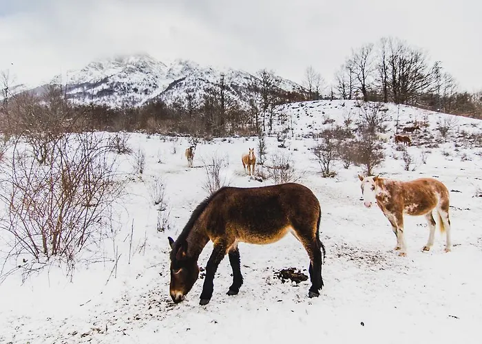 Hotel Hotel Verdeneve